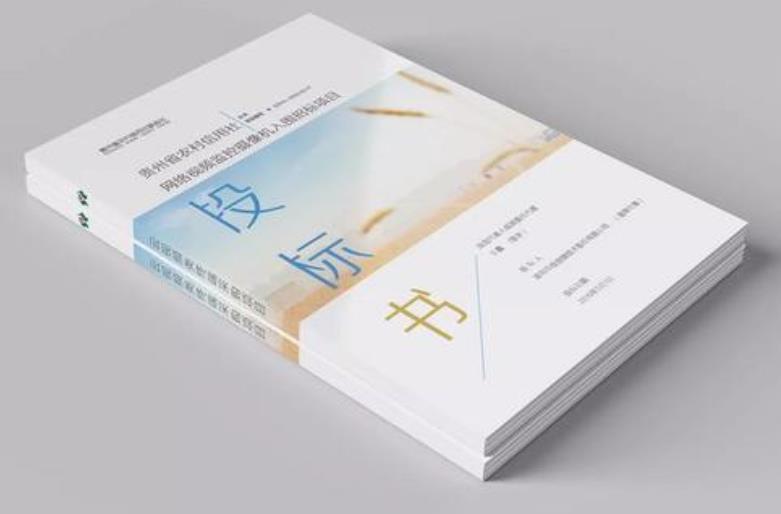 什么是投标文件？