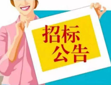 招投标里回标是什么意思?