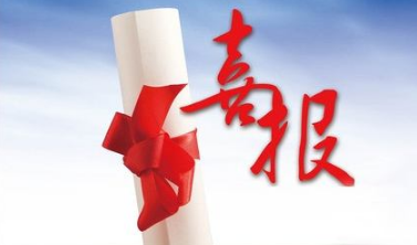 中标人放弃中标顺延第二名中标的程序流程