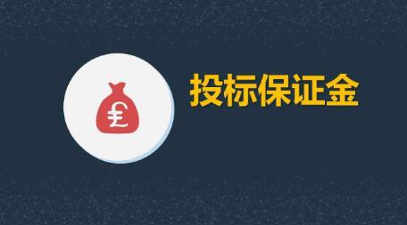 投标保证金最高不超过