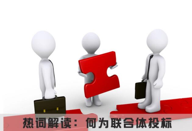本项目不接受联合体投标什么意思？