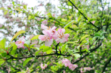投标文件中报价大写金额漏写了如何处理？