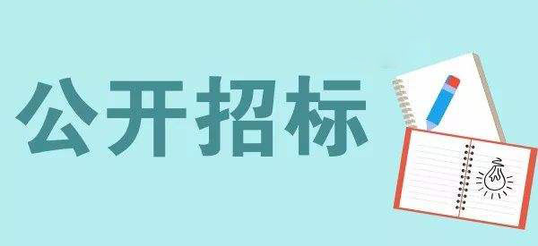 公开招标的六种方式：全面解析+适用场景指南，新手也能看懂