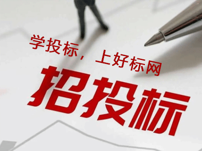 电子标书上传如何规避格式与加密风险?